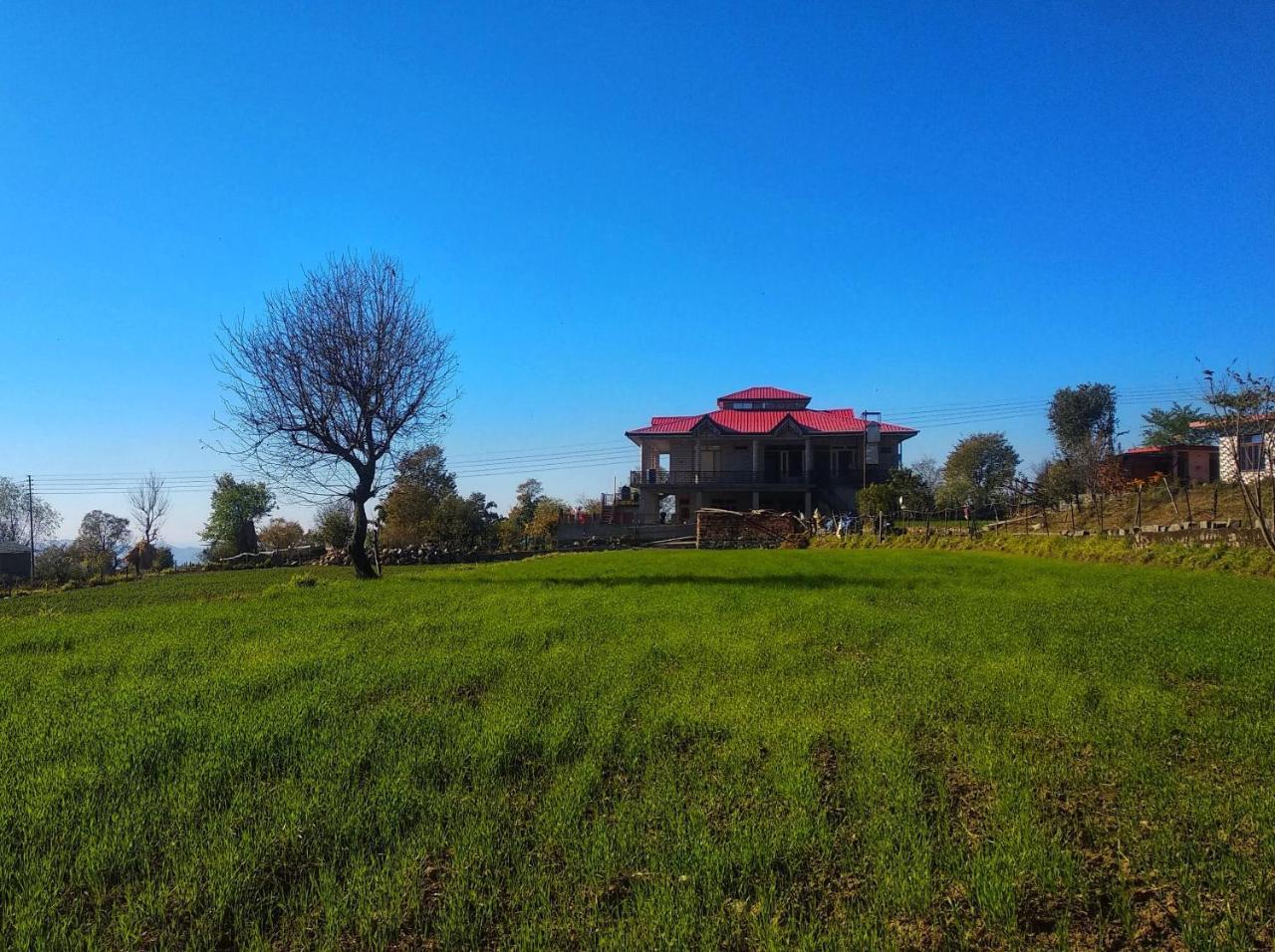 Bir Nest Hostel Kültér fotó