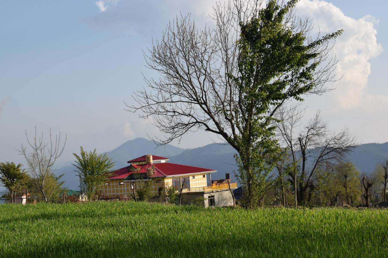 Bir Nest Hostel Kültér fotó